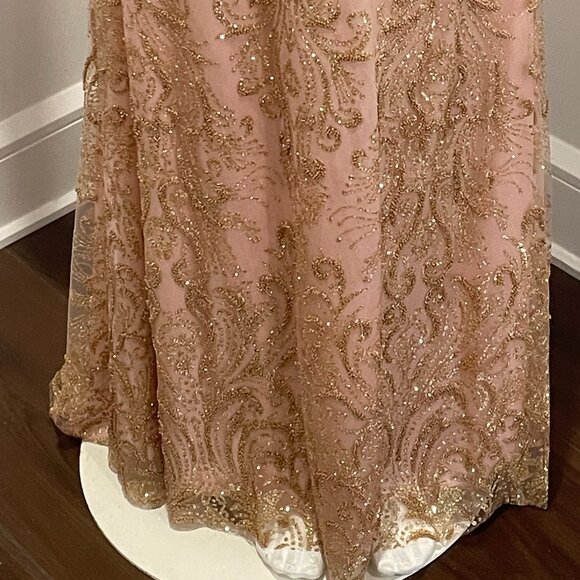 Glamorous Blush Maxi Dress with Feather Accents - Picture 5 of 10